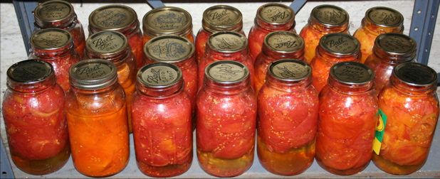 Twenty-one quarts of tomatoes from the 2010 canning season