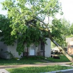 Tree into House - 1300 block Green Bay St.