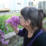 Smelling the Lilacs