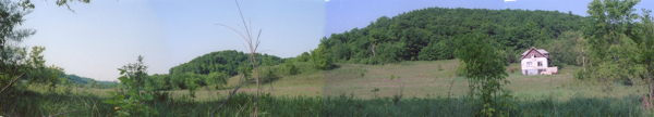 Beaver House 1992