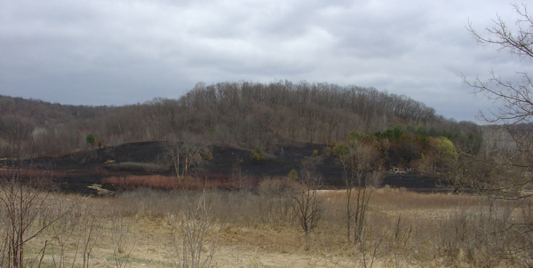 Beaver House 2009