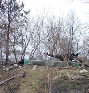 What's Left of the Beaver House 2009