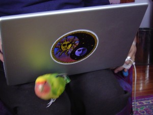 Ariel cuddles up to the laptop.