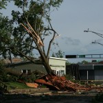 Flying Roof Damages Tree - West Ave. & Green Bay St.