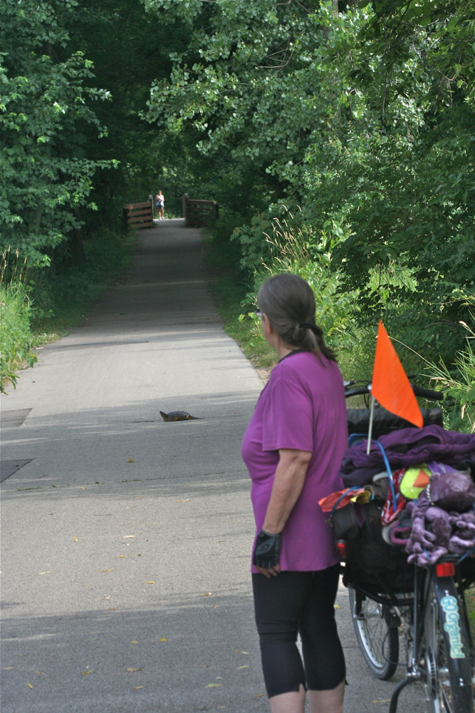 RoZ spots turtle on trail.
