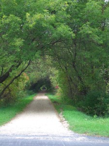 A typical bike-seat view of one of our local Wisconsin trails.